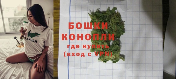 PSILOCYBIN Майский