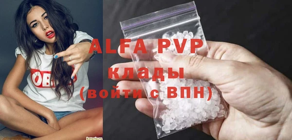 PSILOCYBIN Майский