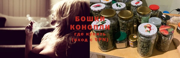 шишки Магас