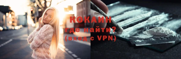 PSILOCYBIN Майский