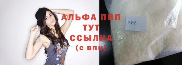 PSILOCYBIN Майский