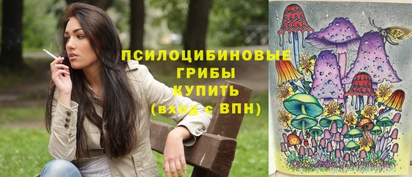дурь Лихославль