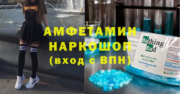 шишки Магас