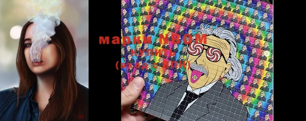 шишки Магас