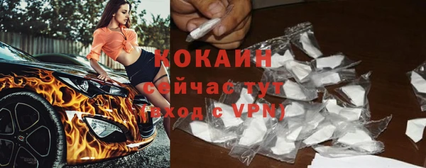 шишки Магас