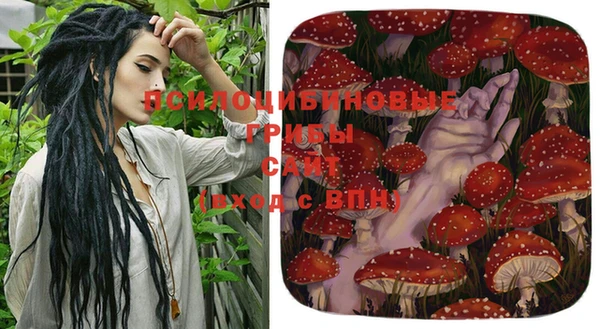PSILOCYBIN Майский