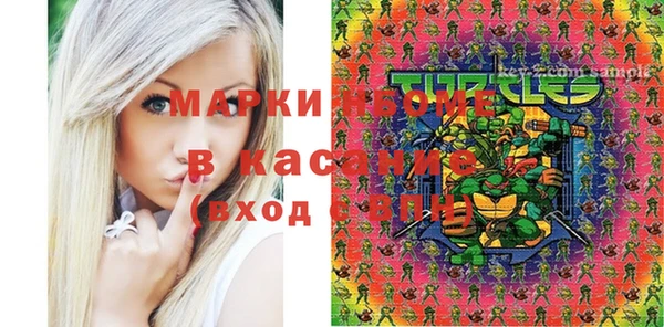 PSILOCYBIN Майский